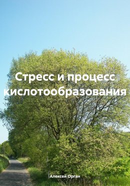 Стресс и процесс кислотообразования