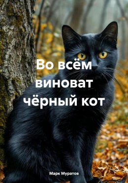 Во всём виноват чёрный кот