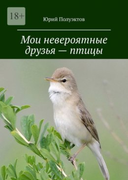 Мои невероятные друзья – птицы