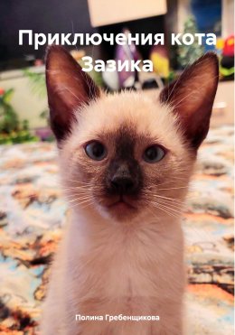 Приключения кота Зазика