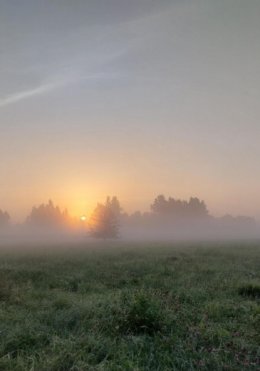 Комплимент