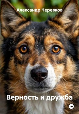 Верность и дружба