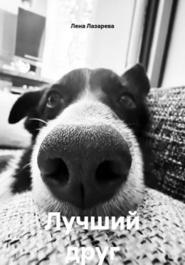 Лучший друг