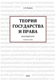 Теория государства и права. Краткий курс