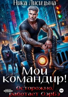 Мой командир!