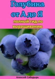 Голубика от А до Я полный гид по выращиванию