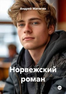 Норвежский роман