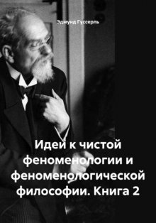 Идеи к чистой феноменологии и феноменологической философии. Книга 2