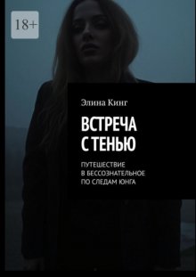 Встреча с тенью. Путешествие в бессознательное по следам Юнга