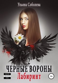 Черные вороны 2. Лабиринт