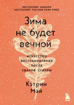 Зима не будет вечной. Искусство восстановления после ударов судьбы