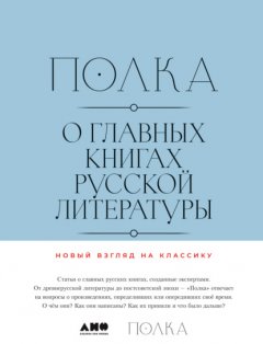 Полка. О главных книгах русской литературы. Том II