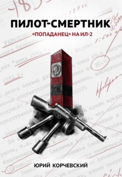 Пилот-смертник. «Попаданец» на Ил-2