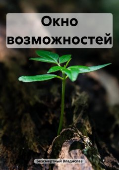 Окно возможностей