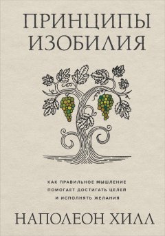 Принципы изобилия. Как правильное мышление помогает достигать целей и исполнять желания