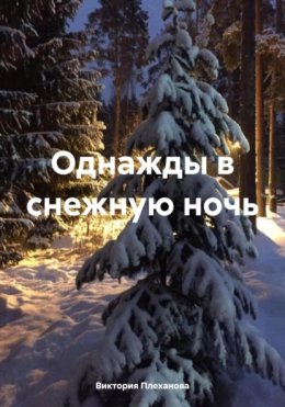 Однажды в снежную ночь