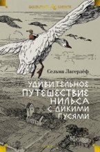 Удивительное путешествие Нильса с дикими гусями