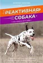 Реактивная собака. Как помочь ей и себе.