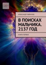 В поисках мальчика. 2137 год. Книга первая