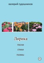 Валерий Гудошников Лирика. Песни, стихи, поэмы