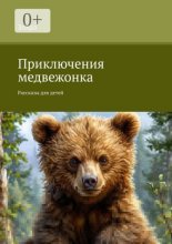 Приключения медвежонка. Рассказы для детей