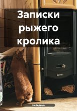 Записки рыжего кролика