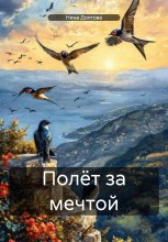 Полёт за мечтой