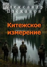 Китежское измерение