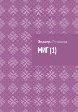 Миг (1)