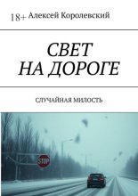 Свет на дороге. Случайная милость