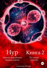 Нур. Дважды рождённый. Дважды король. Книга 2. По следам королей.