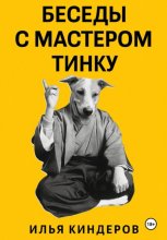 Беседы с Мастером Тинку. Секреты уличного Дао.