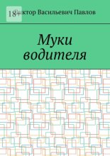 Муки водителя