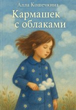 Кармашек с облаками