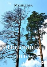 Половина неба