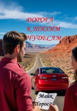 Дорога к тихим чудесам (серия «Книга обыденных чудес»)