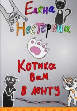 Котика вам в ленту
