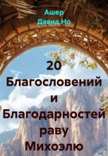 20 благодарностей раву Михоэлю