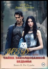 М.Е.Д., или Тайна заколдованной ведьмы
