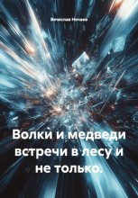 Волки и медведи встречи в лесу и не только