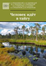 Человек идёт в тайгу