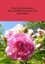 Как подобрать розы для цветника