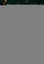 Возлюбленный феи