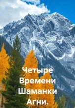 Четыре Времени Шаманки Агни.