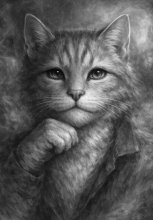Вселившийся в кота. Мистические диалоги