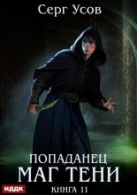 Попаданец. Маг Тени. Книга 11