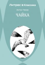 Чайка