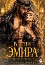 В тени эмира.  Шрамы на песке 2