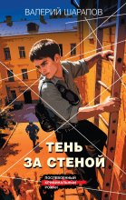 Тень за стеной