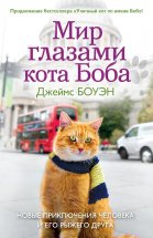 Мир глазами кота Боба. Новые приключения человека и его рыжего друга